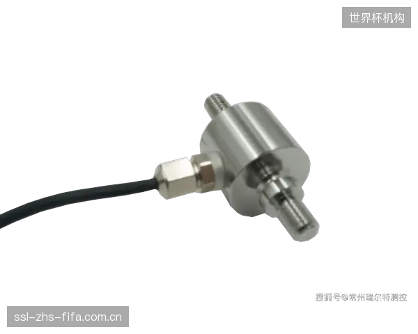 下一个十年,内置微型传感器的“活”冰刀或将出现,能实时反馈并建议调整滑行策略 下一个十年,内置微型传感器的“活”冰刀或将出现,能实时反馈并建议调整滑行策略